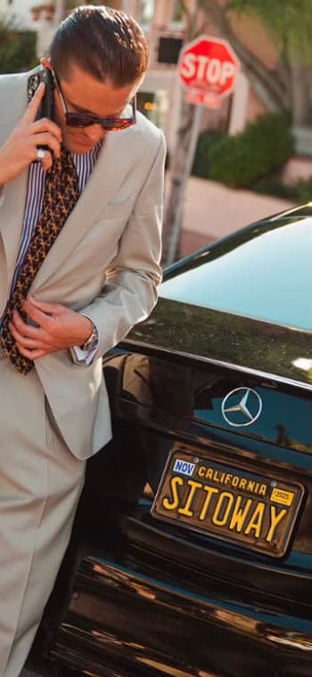 The License Plate